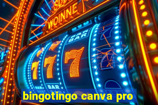 bingotingo canva pro